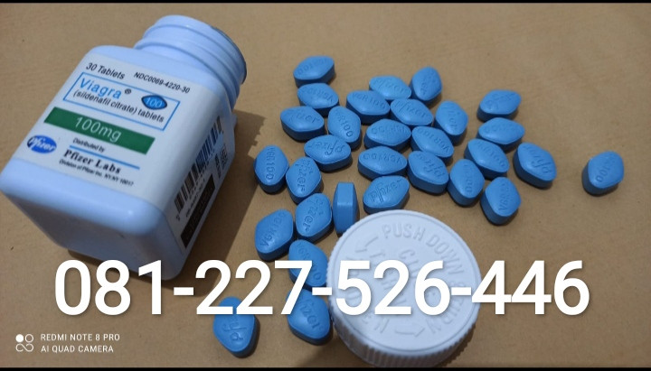 Jual Viagra Asli Di Jakarta Utara 081227526446 Pusat Toko Obat Kuat Di Jakarta Utara